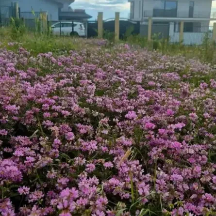 Продам земельный участок 1000м² Mckheta