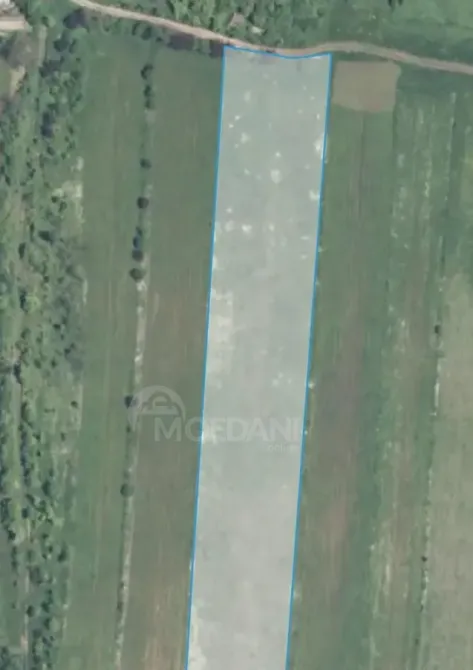 Продам земельный участок 10978м² Mckheta - photo 1