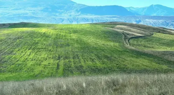 Продам земельный участок 68000м² Gori