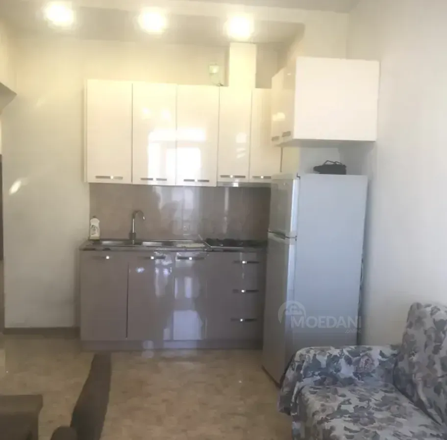 Apartments For Rent two-room 60м² 4/16 floor Tbilisi - photo 4