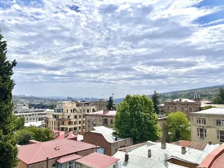 Apartments For Sale three-room 140м² 3/3 floor Tbilisi - photo 6