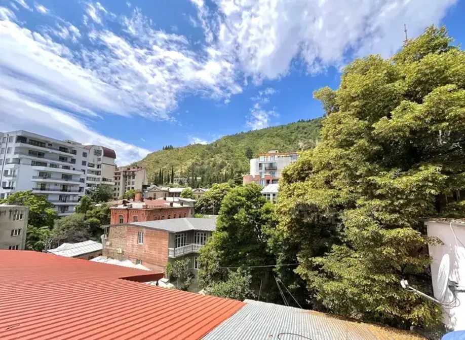 Apartments For Sale three-room 140м² 3/3 floor Tbilisi - photo 4