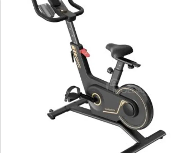 Kingsmith WalkingPad Spinning bike Pb08S - Black თბილისი - photo 1