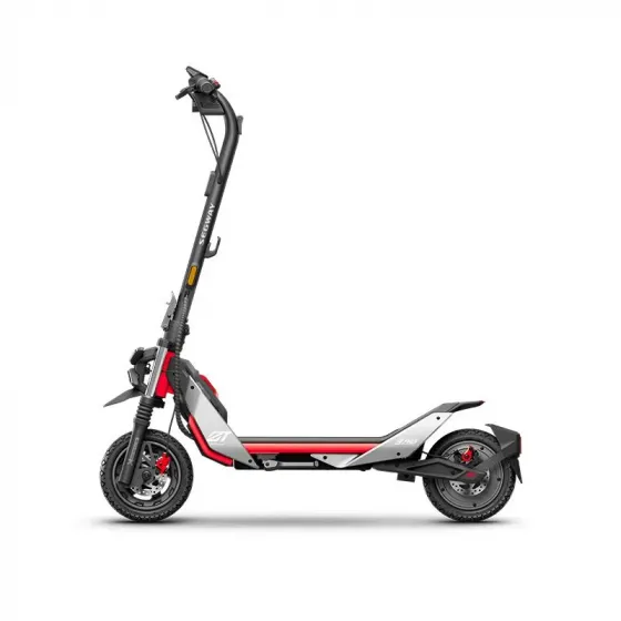 Electric scooter Segway Ninebot ZT3 Pro Tbilisi