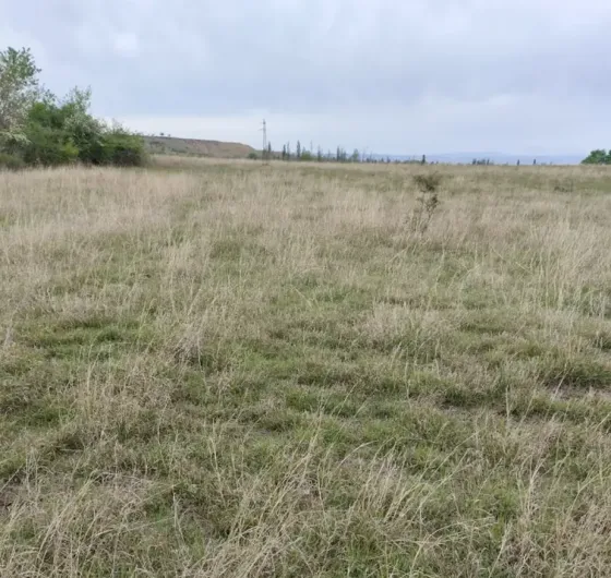 Продам земельный участок 4000м² Tbilisi