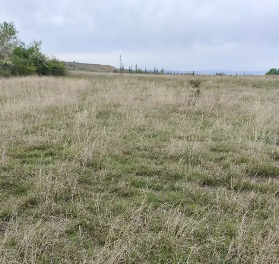 Продам земельный участок 4000м² Tbilisi - photo 1