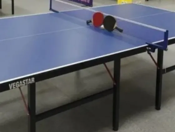 Ping Pong Tables - Delivery Tbilisi