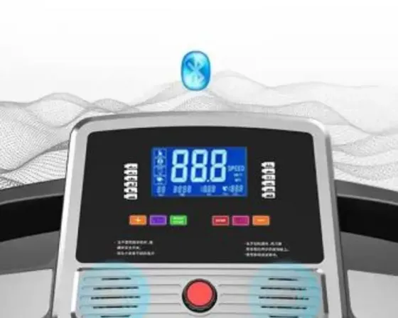 Running track 2025 Tbilisi