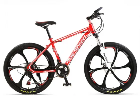 Folding bicycle bicycle velo velosipeti velosipetebi Tbilisi