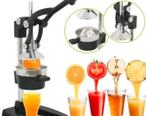 Professional, mechanical juicer for grapes and citrus Tbilisi