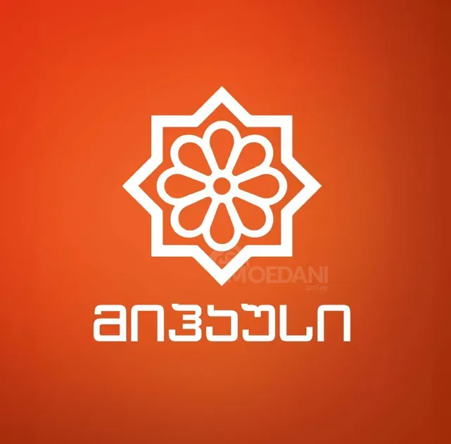 Loader Tbilisi - photo 1