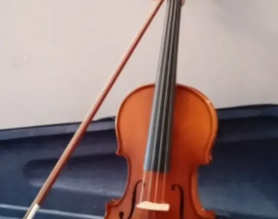 Ახალი ვიოლინოები ყველა ზომის თბილისი