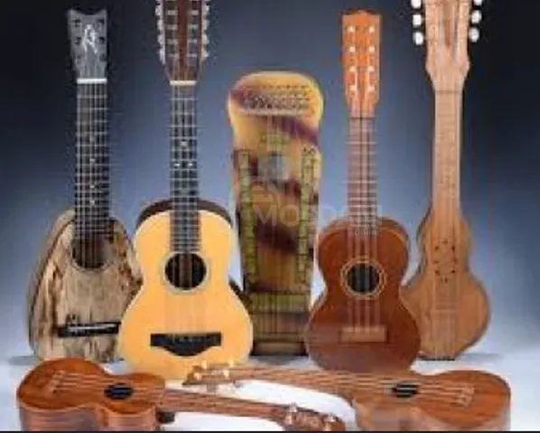 Musical equipment rental Tbilisi - photo 6