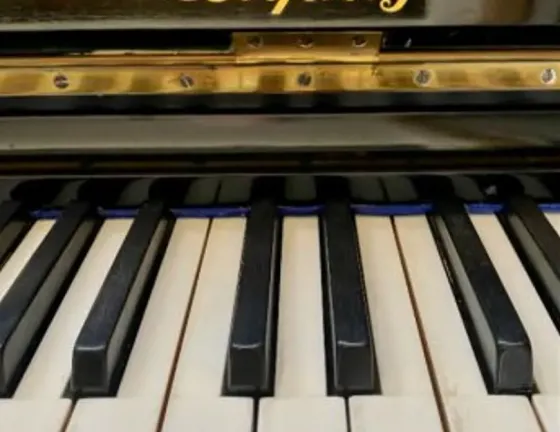 Სინთეზატორი Yamaha PSR E323 ციფრული პიანინო თბილისი