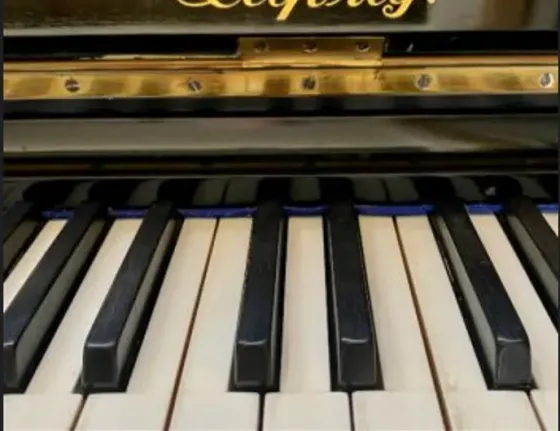 Ანტიკვარული პიანინო იულიუს ბლუტნერ Julius Bluthner Leipzig თბილისი