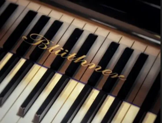 Სინთეზატორი Vermona Germany პიანინო ორგანი მიდი კლავიატურა თბილისი