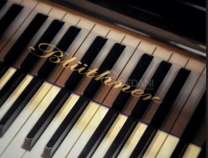 Synthesizer Vermona Germany Piano Organ MIDI Keyboard Tbilisi - photo 6