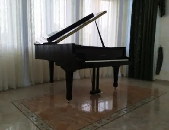 Იყიდება როიალები თბილისი