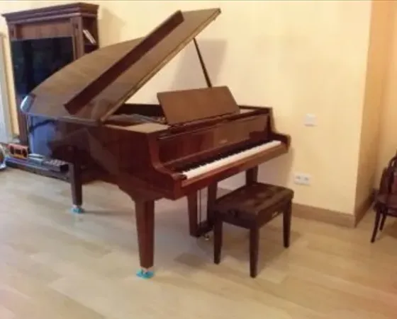 Იყიდება როიალები თბილისი