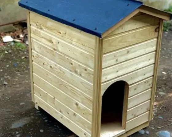 Дом девушки Тбилиси