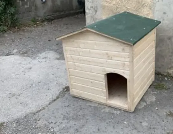 Дом девушки Тбилиси