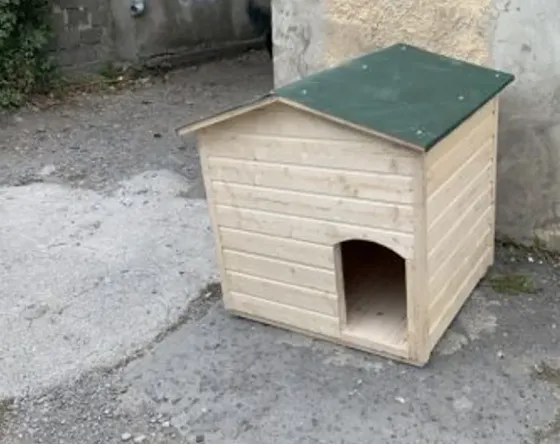 Дом девушки Тбилиси