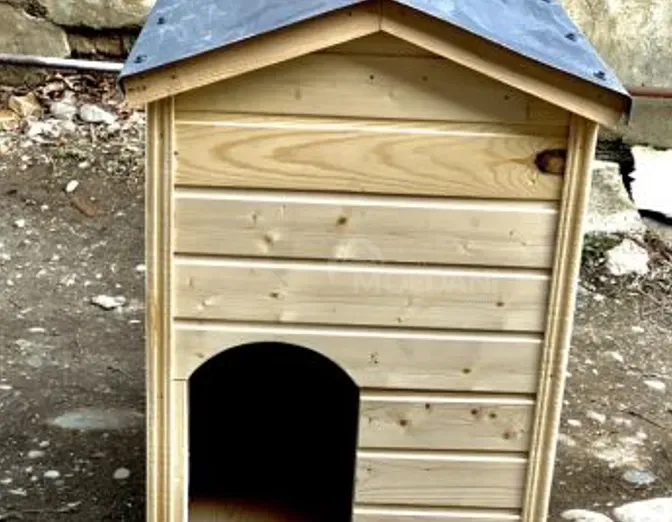 Ძაღლის სახლი თბილისი - photo 2