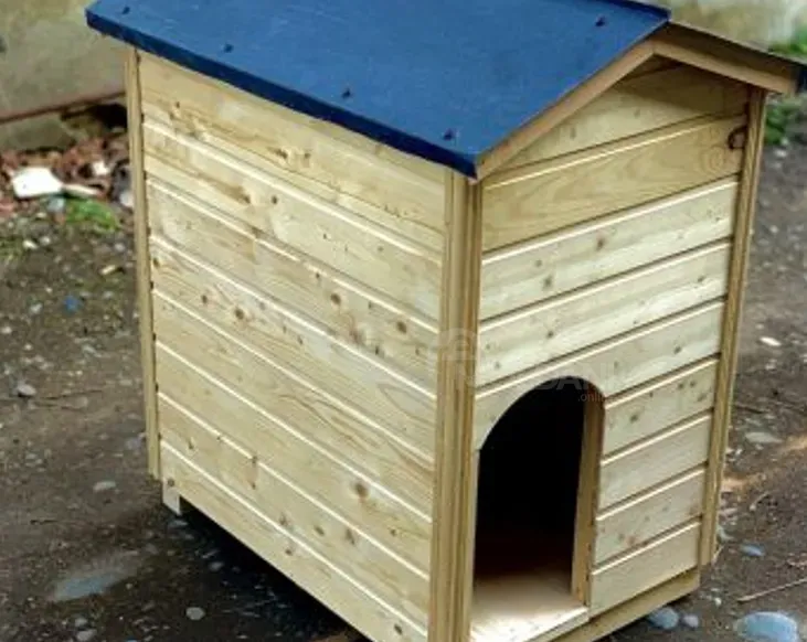 Ძაღლის სახლი თბილისი - photo 1