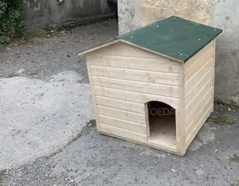 Ძაღლის სახლი თბილისი - photo 5