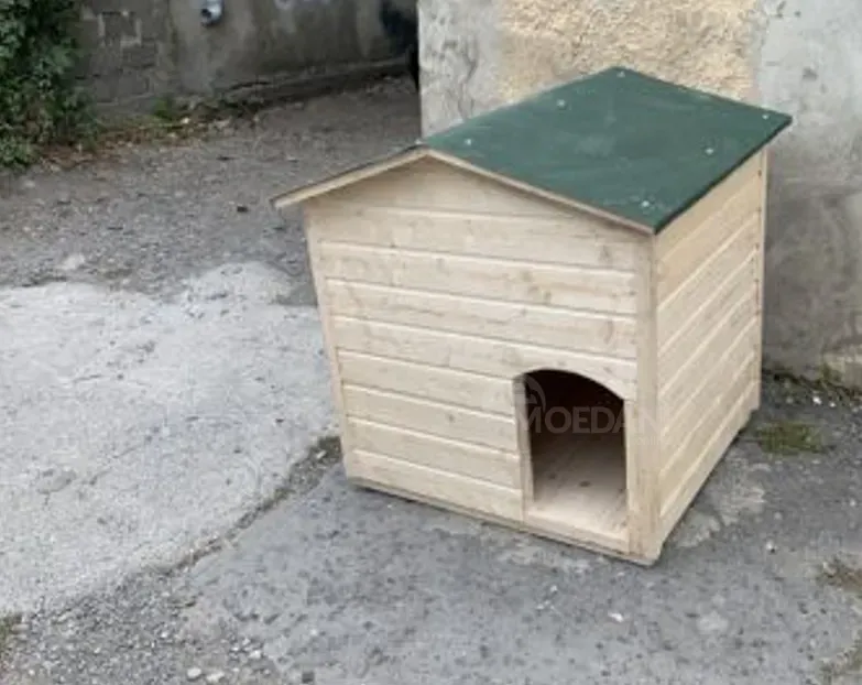 Ძაღლის სახლი თბილისი - photo 3