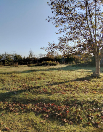 Продам земельный участок 1360м² Zugdidi