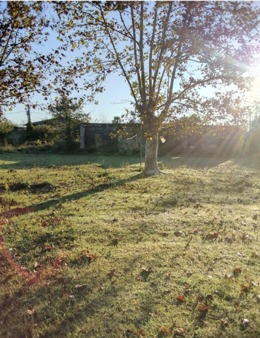 Продам земельный участок 1360м² Zugdidi - photo 6