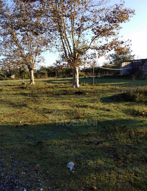 Продам земельный участок 1360м² Zugdidi - photo 3