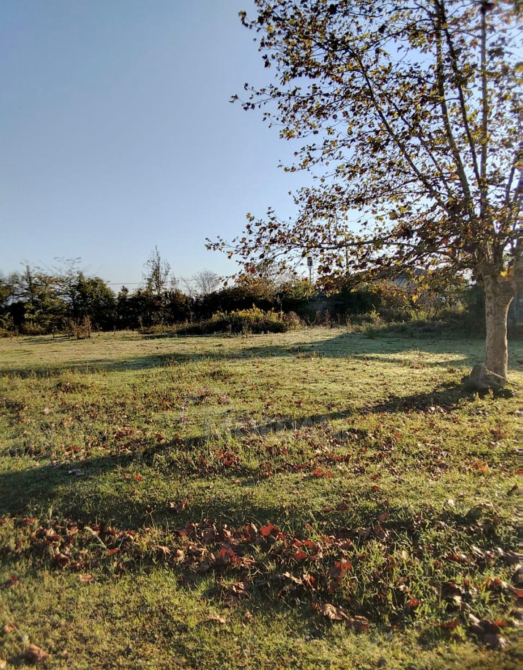 Продам земельный участок 1360м² Zugdidi - photo 4