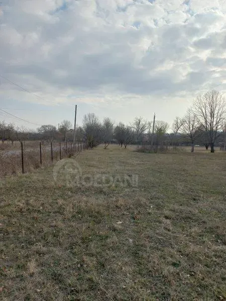 Продам земельный участок 17000м² Dusheti - photo 5