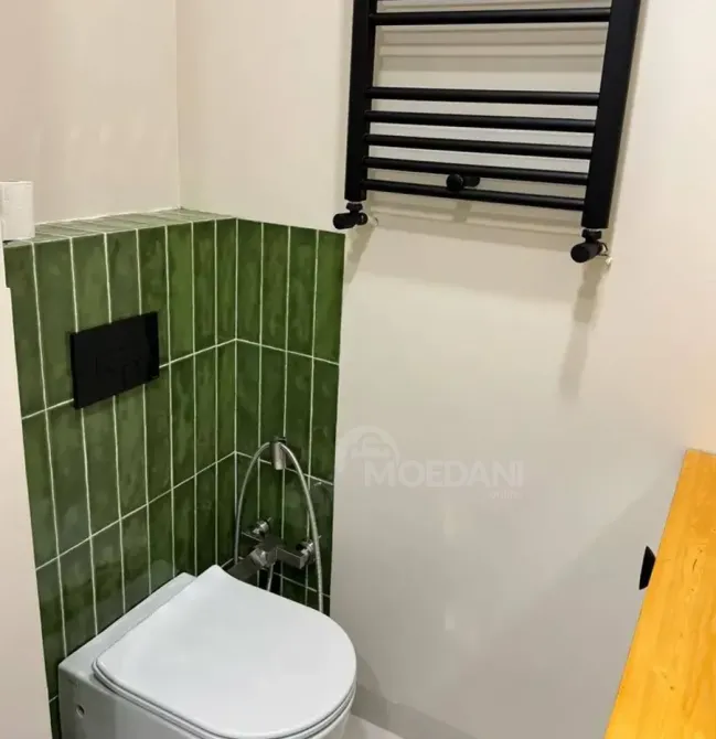 ქირავდება 2 ოთახიანი ბინა 60მ² 11/19 სართ თბილისი - photo 10