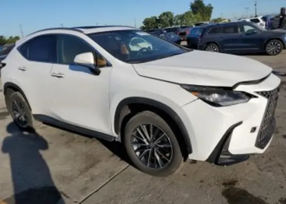Lexus NX 2024 Тбилиси