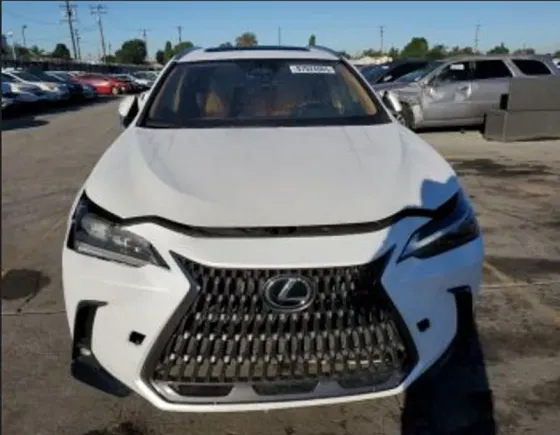 Lexus NX 2024 Тбилиси