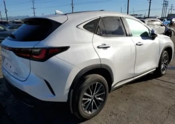 Lexus NX 2024 Тбилиси