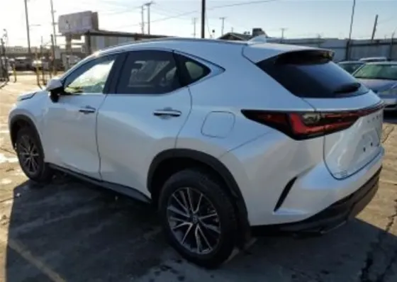 Lexus NX 2024 Тбилиси