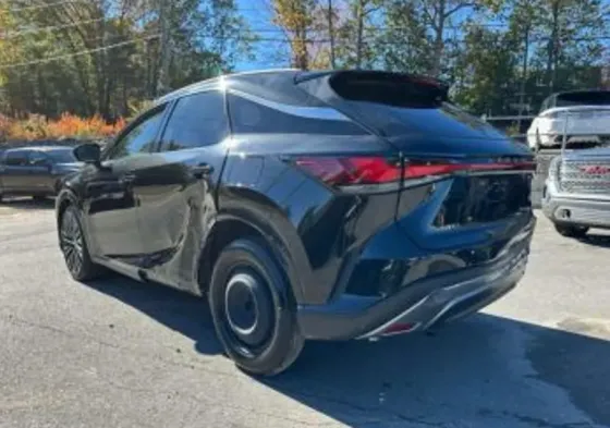 Lexus RX 2025 Тбилиси