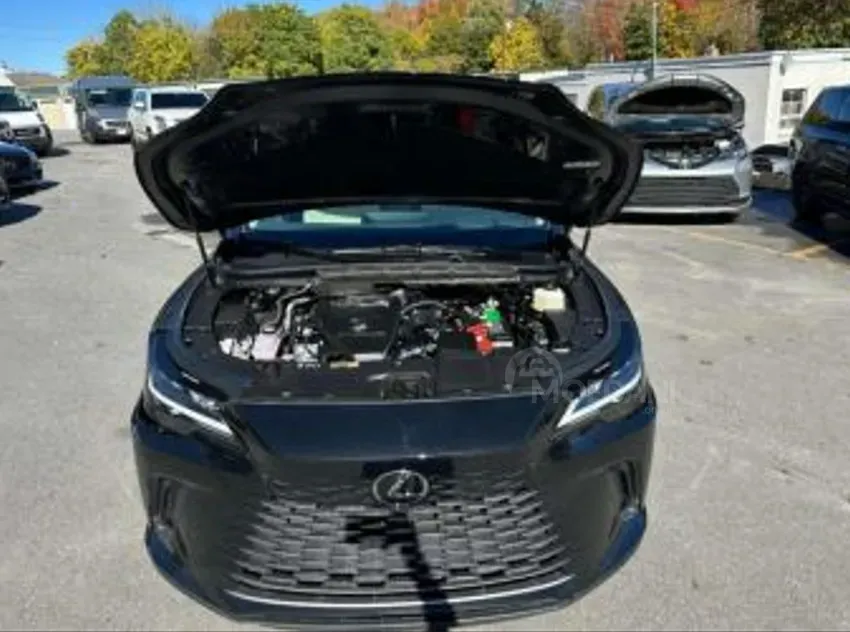 Lexus RX 2025 თბილისი - photo 3