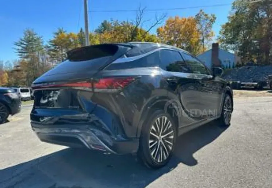 Lexus RX 2025 თბილისი - photo 4