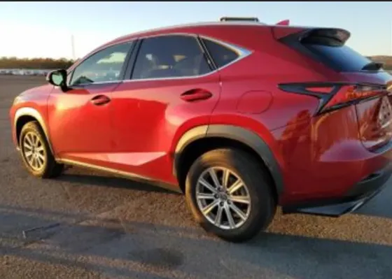 Lexus NX 2021 Тбилиси