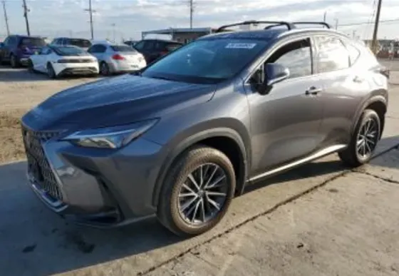 Lexus NX 2024 Тбилиси