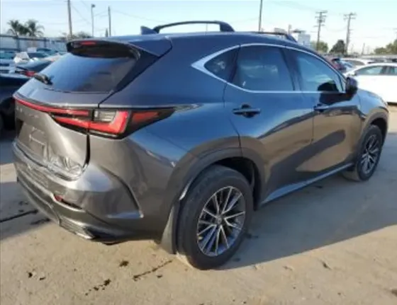 Lexus NX 2024 Тбилиси