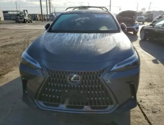 Lexus NX 2024 Тбилиси