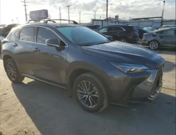 Lexus NX 2024 Тбилиси
