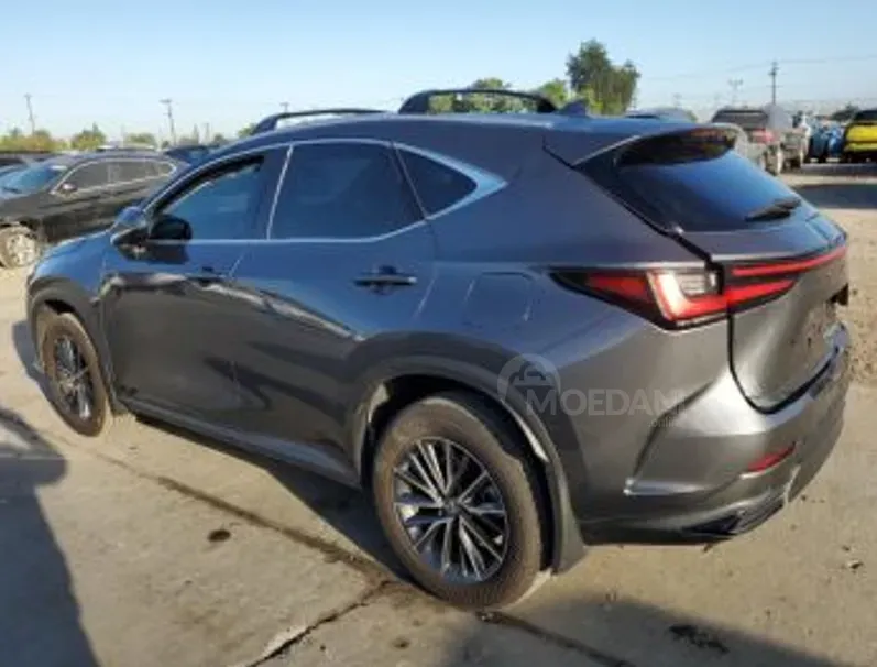 Lexus NX 2024 Тбилиси - изображение 5