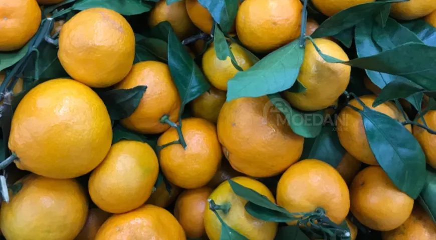 Თურქული მანდარინი რუსთავი - photo 1